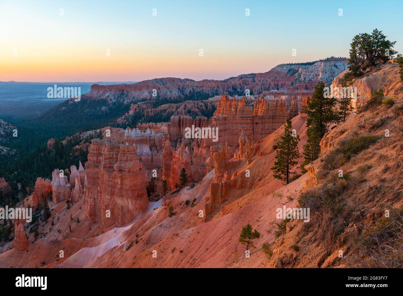 Bryce Canyon Hoodoo bei Sonnenaufgang, Bryce Canyon Nationalpark, Utah, USA. Stockfoto