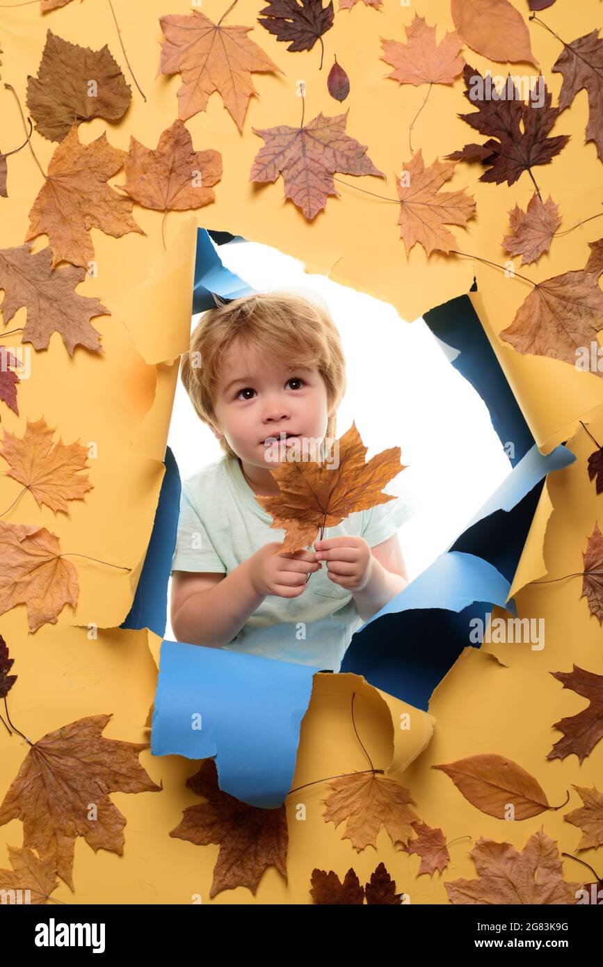 Herbst Zeit für Mode Verkauf. Lamellenabfallplatz. Herbsttrend und Mode der Blätter. Werbekonzept. Herbstjubiläum. Shopping am Black friday. Glücklich Stockfoto