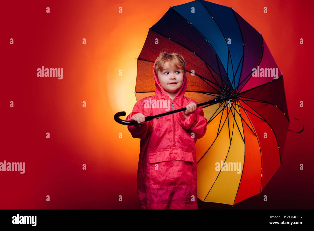 Hallo September. Herbstbaum und Wald. Herbstlaub Festival. Der Herbst hinterlässt den Hintergrund. Digitale Werbung. Werbeagentur. Kinderfreuden. Stockfoto