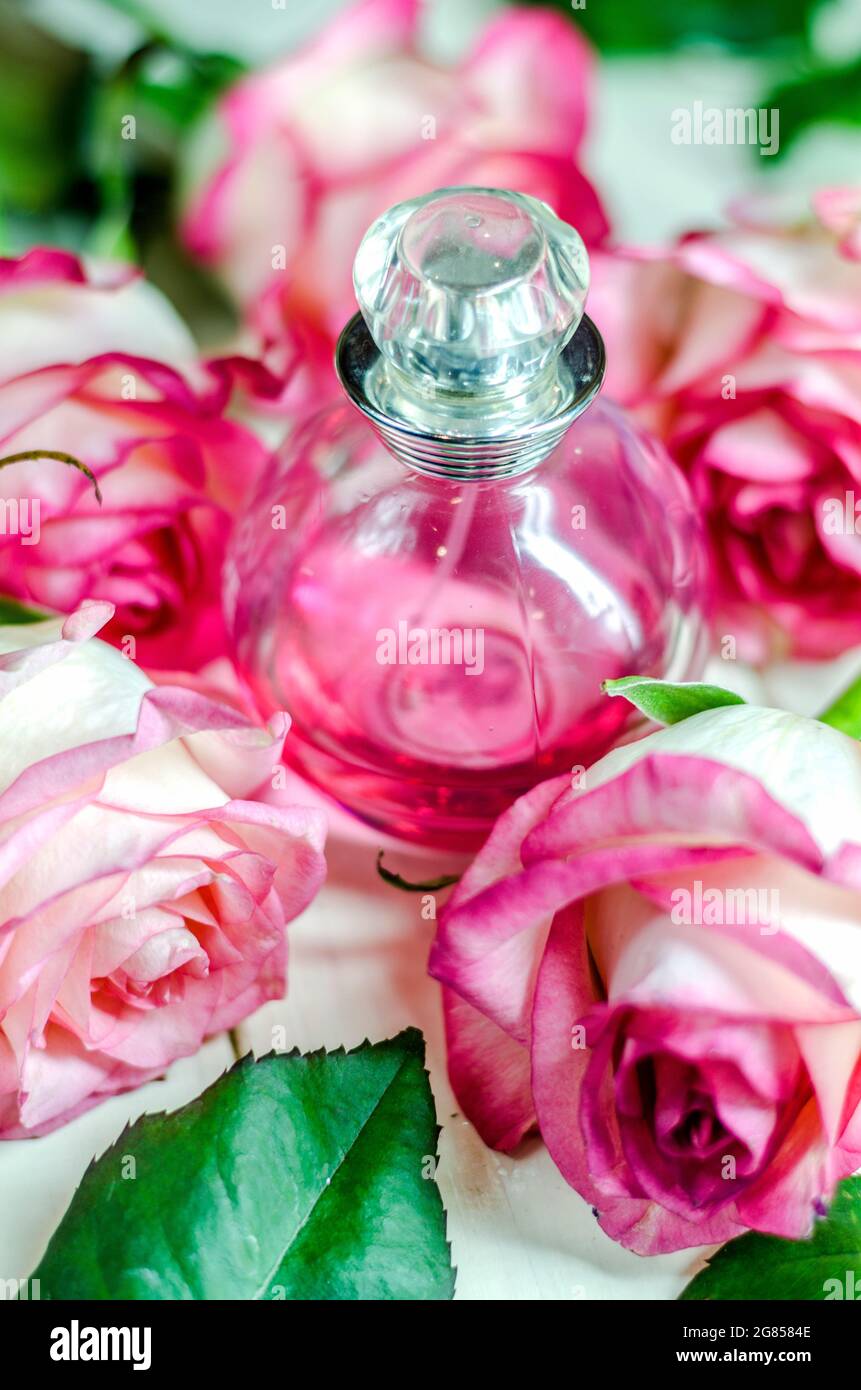 Eine Flasche Parfüm inmitten wunderschöner Blumen Stockfotografie - Alamy