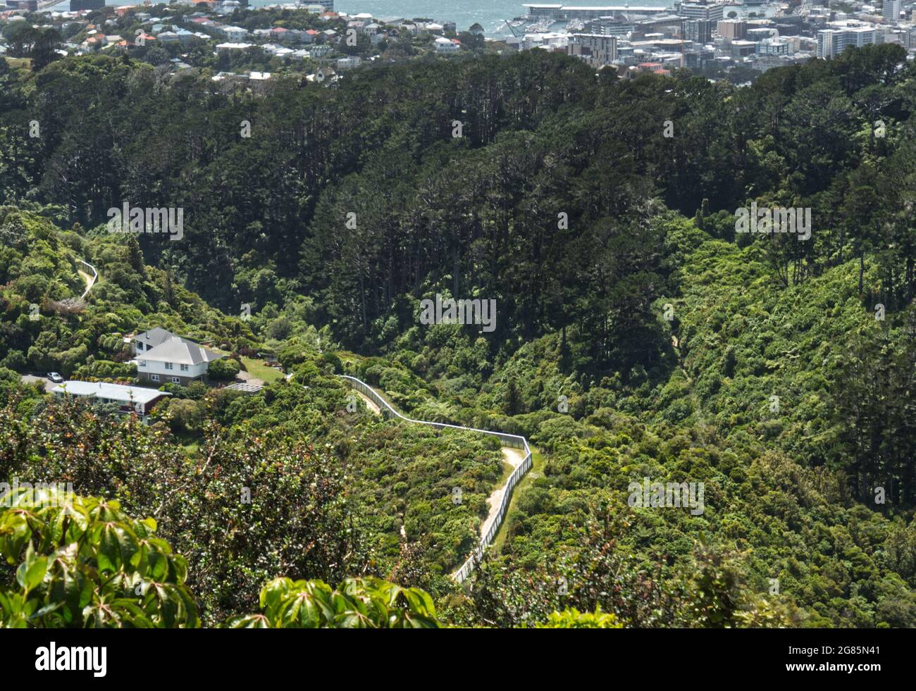 Der Raubtier Zaun in Zealandia. Der Ökosaktuar auf der rechten Seite und der Vorort Karori auf der linken Seite. Die Stadt Wellington und der Hafen liegen dahinter. Stockfoto