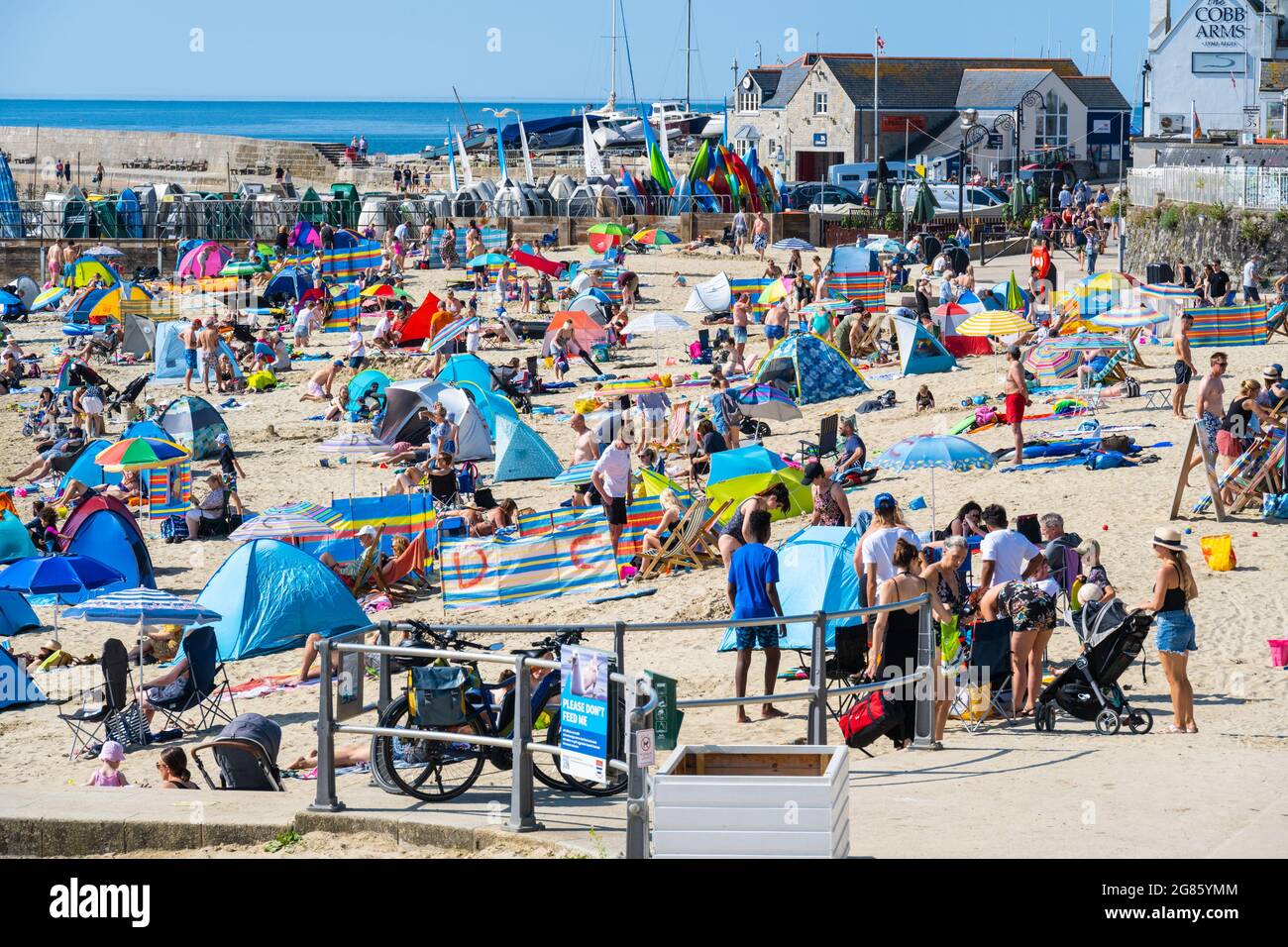 Lyme Regis, Dorset, Großbritannien. Juli 2021. UK Wetter: Ein herrlicher sonniger Start in den Tag Sonnenschein im Badeort Lyme Regis. Der hübsche Strand ist bereits vor 10 Uhr morgens voll. Kredit: Celia McMahon/Alamy Live Nachrichten Stockfoto