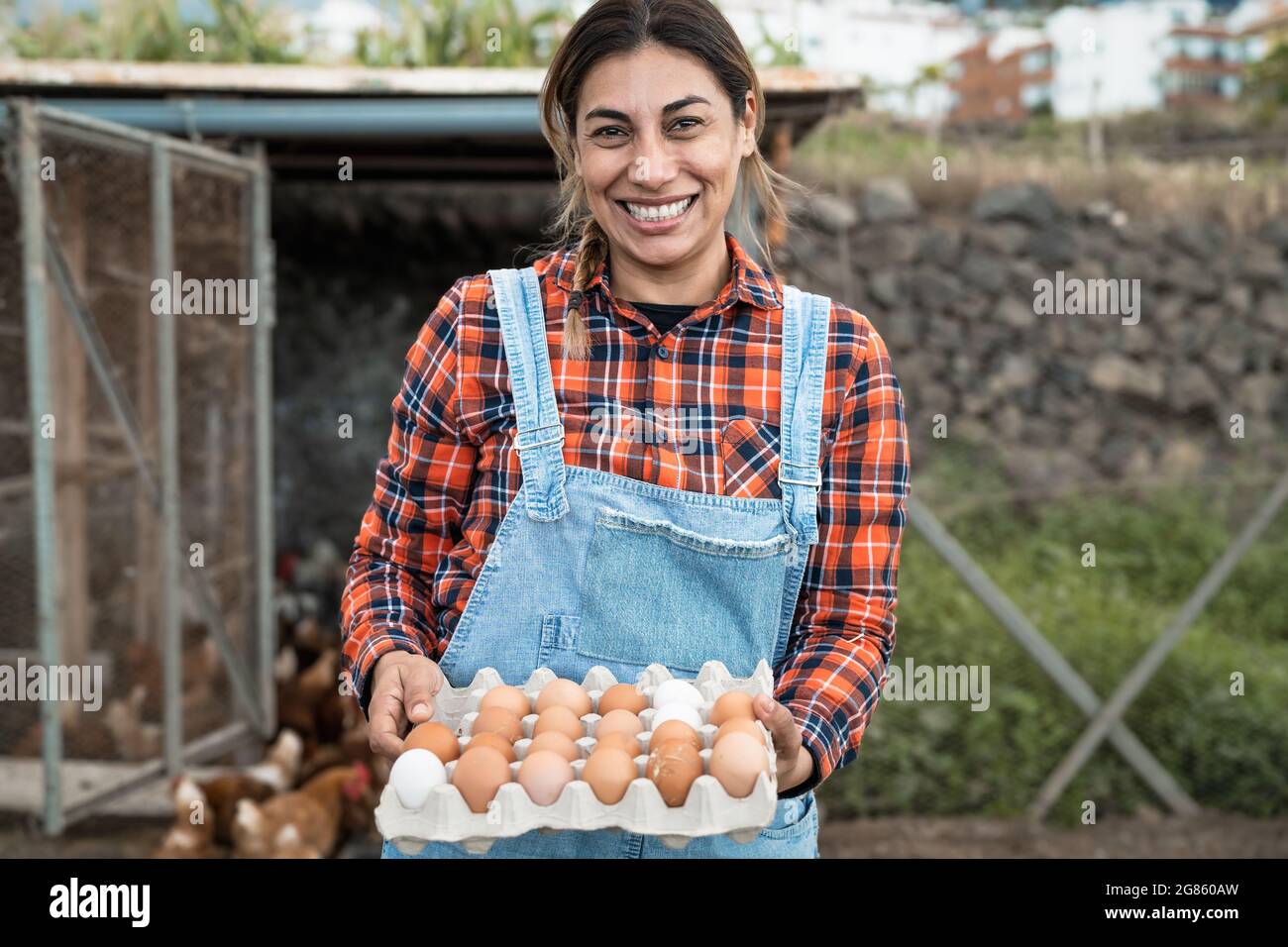 Reife Bäuerin, die frische Eier im Hühnerhausgarten pflücken - Farm People Lifestyle-Konzept Stockfoto