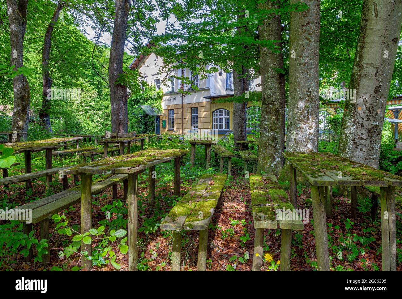 Lost Place, bewachsener Biergarten mit moosigen Sitzbereichen, Gasthof Obermühltal, Bayern, Deutschland, Europa Stockfoto