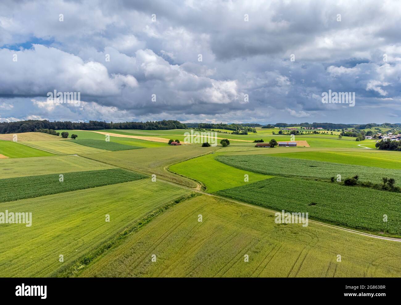 Grüne Felder und Wiesen bei Andechs, Pfaffenwinkel, Luftbild, Oberbayern, Bayern, Deutschland, Europa Stockfoto
