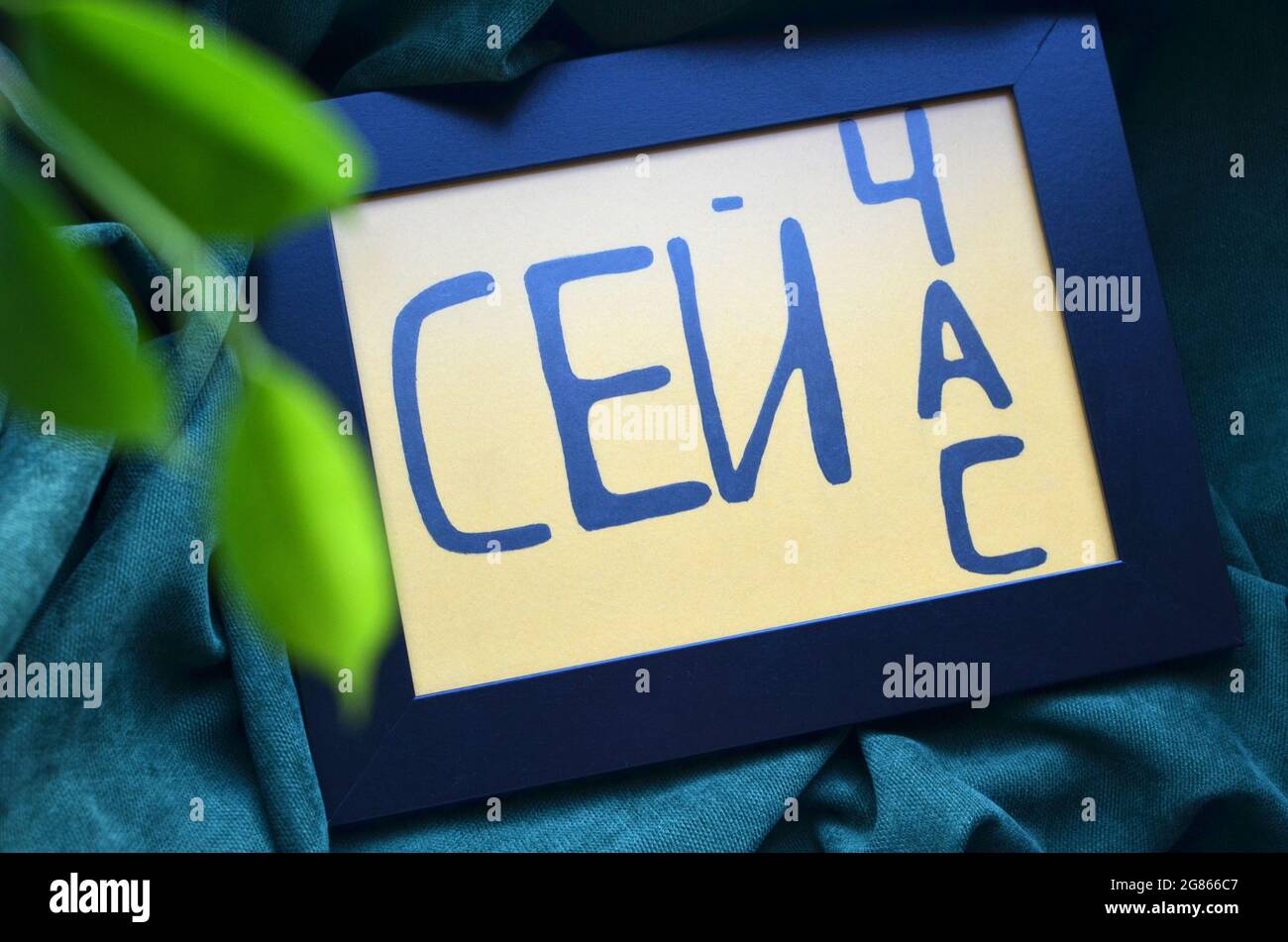 Auf einem grünen Tuch liegt ein schwarzer Rahmen auf einem gelben Hintergrund Slogan motivierenden Slogan Wort schwarzer Text auf Russisch: Jetzt. Seitenansicht einer grünen Pflanze Stockfoto