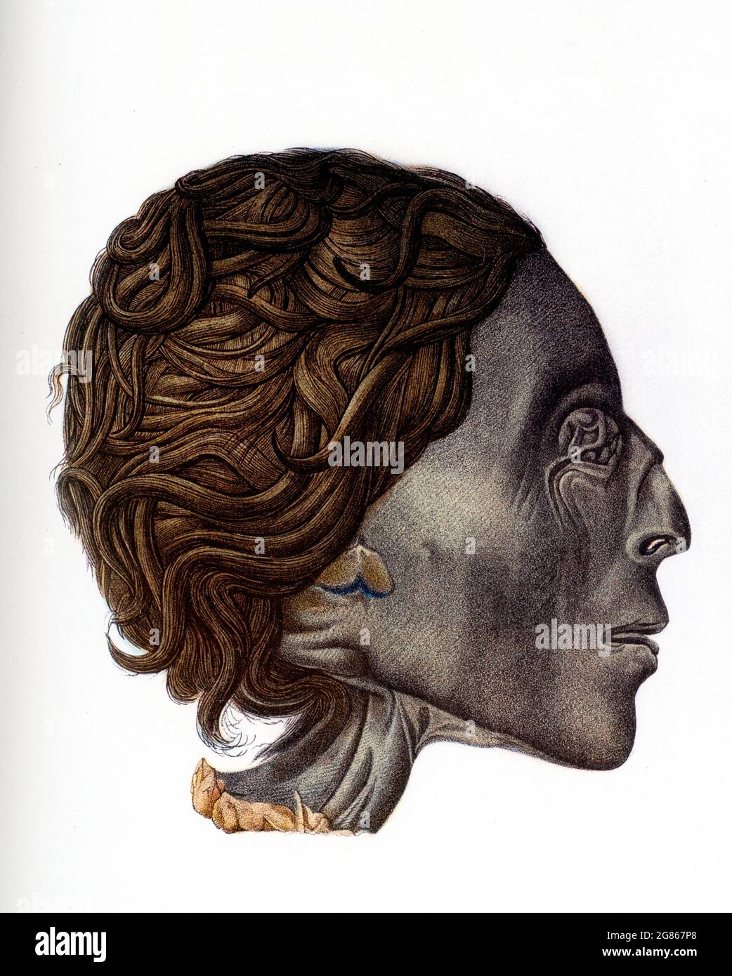 Die Bildunterschrift zu dieser Illustration aus dem Jahr 1903 in Gaston Masperos Buch über Ägypten lautet: „Profil des Kopfes einer Mumie - weiblich - Thebes Grab.“ Stockfoto