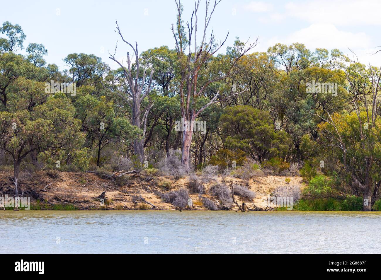 Murray River liegt gegenüber von Dareton, NSW, Australien. Victoria-Seite. Stockfoto