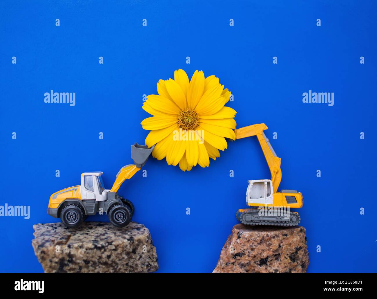 Große orange Blume zwischen zwei kleinen Spielzeug-Baubagger. Business - herzlichen Glückwunsch, Tag des Bauherrn. Werbung für den Bau BU Stockfoto