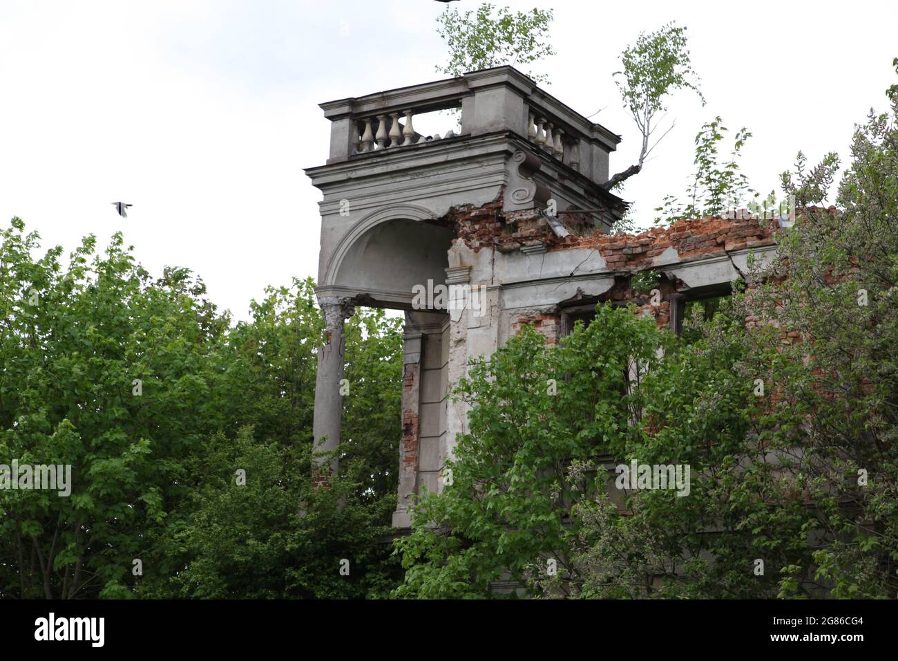 Ruinen des Karski-Palastes, Karski, Włostow, swietokrzyskie, Palast, Stockfoto