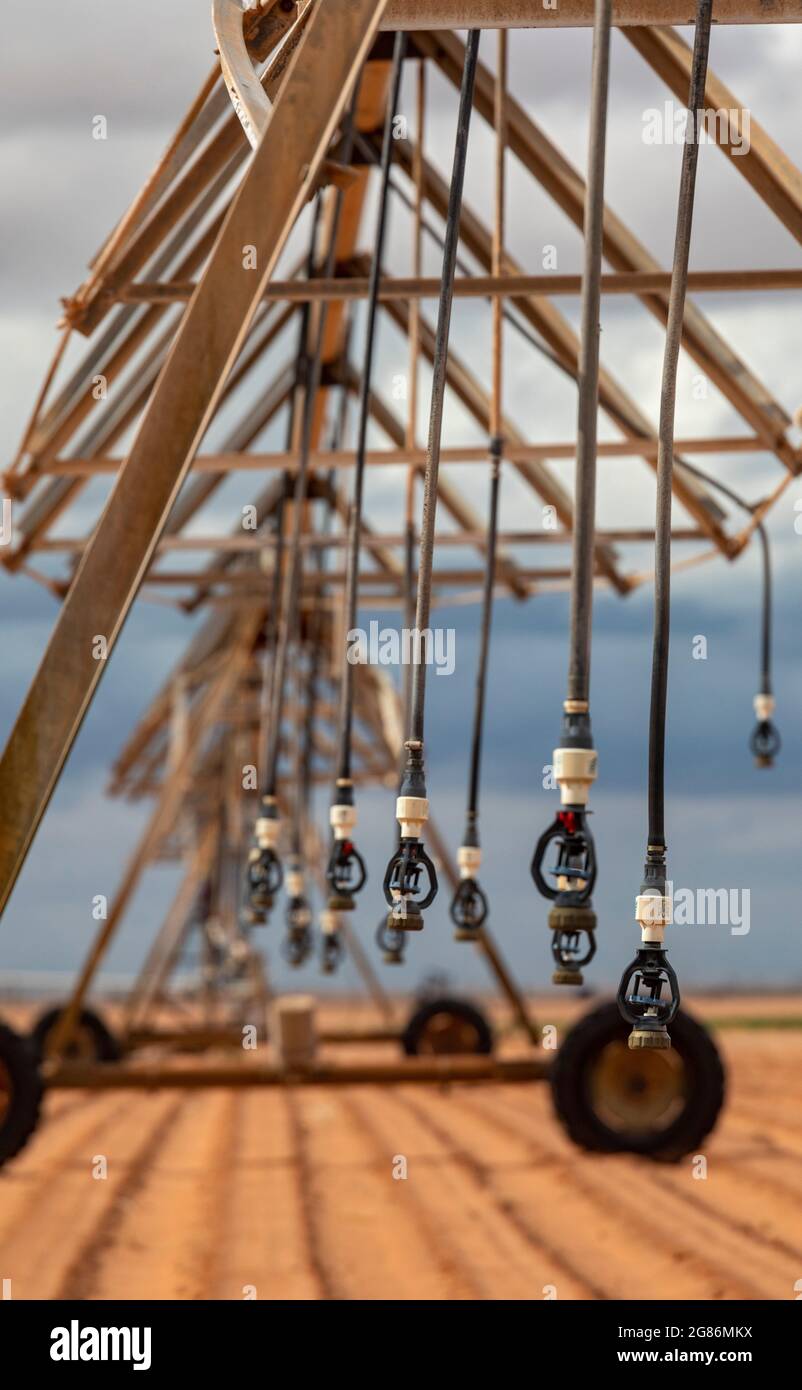 Plains, Texas - Center-Pivot Bewässerungstechnik auf einer West Texas Farm. Stockfoto