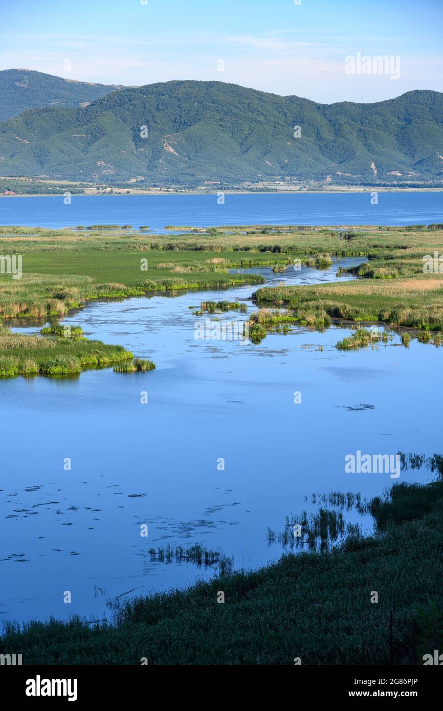 Blick über die Rückbetten auf dem Mikri Prespa See in Mazedonien, Nordgriechenland. Stockfoto