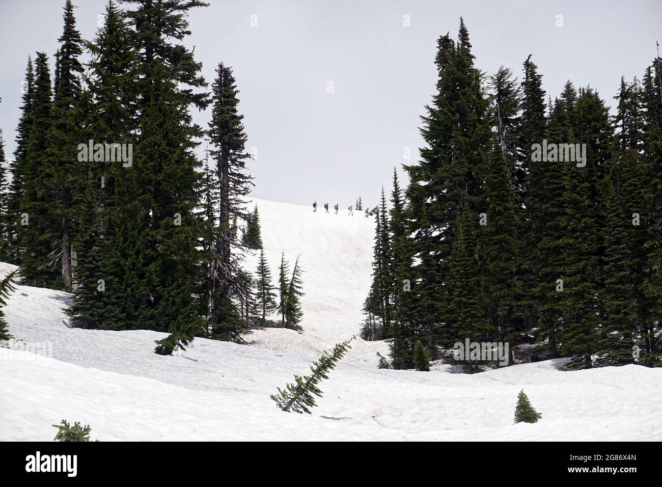 Rückkehr Bergsteiger von Mt. Rainer, Washington Stockfoto