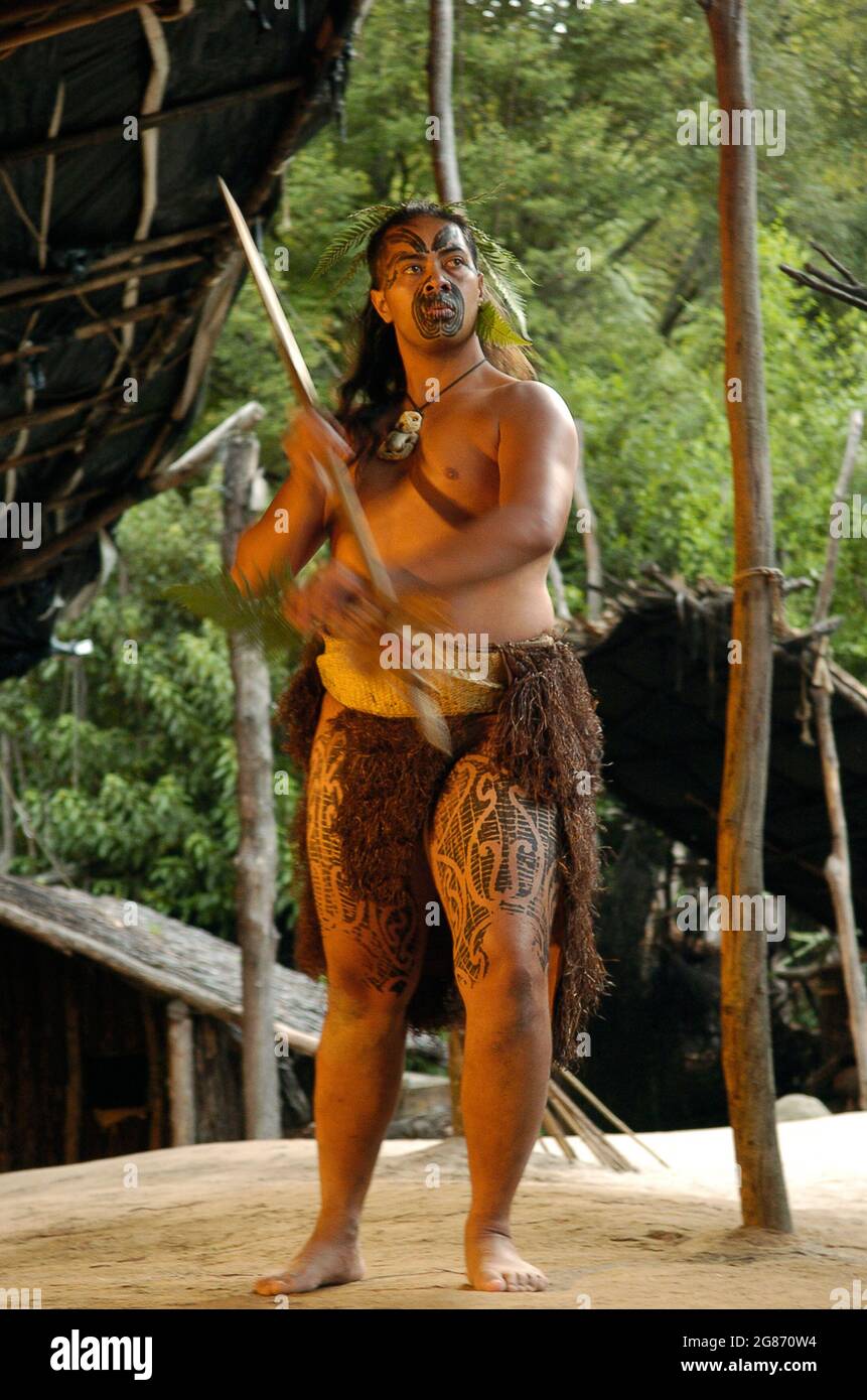 Maori indigener Krieger, der einen traditionellen Haka-Tanz aufführt, Rotorua, Nordinsel, Neuseeland, kulturelle Traditionen Stockfoto