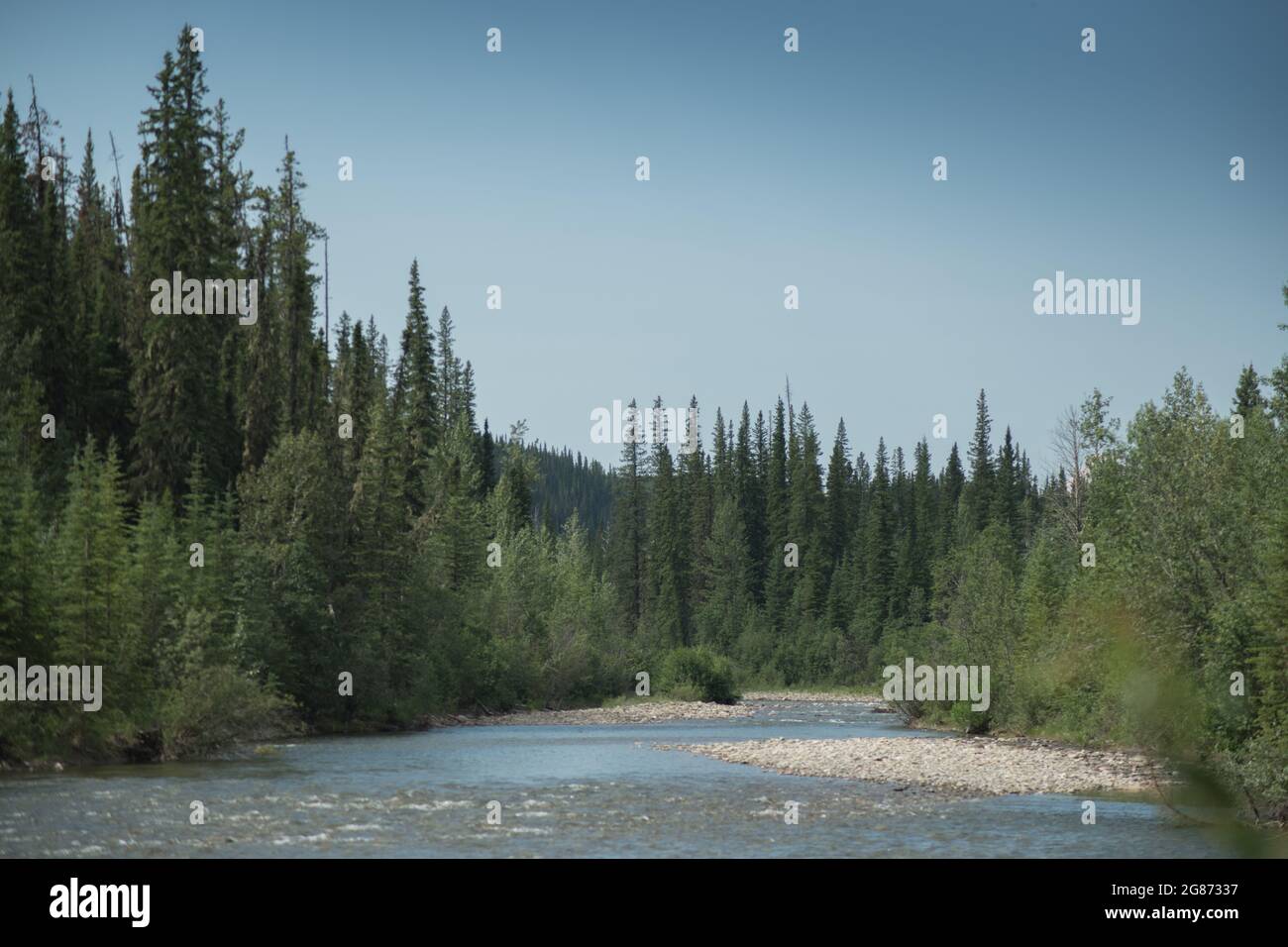 Flauschige Stockfoto
