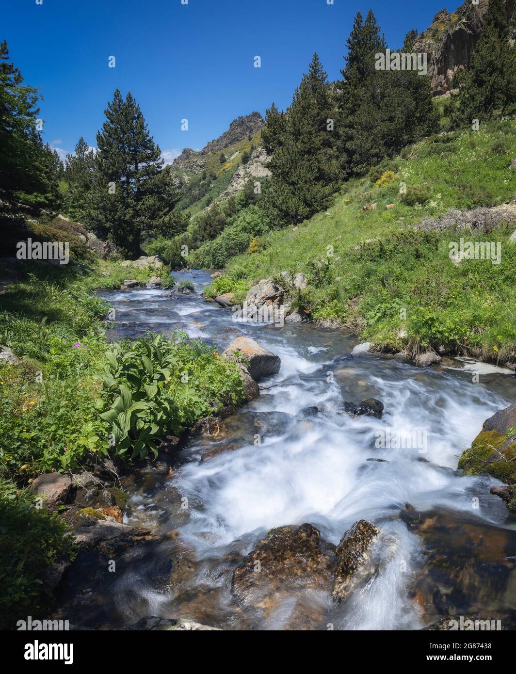 Mountain River Landscape in Eyne Valley, Französische Pyrenäen Stockfoto