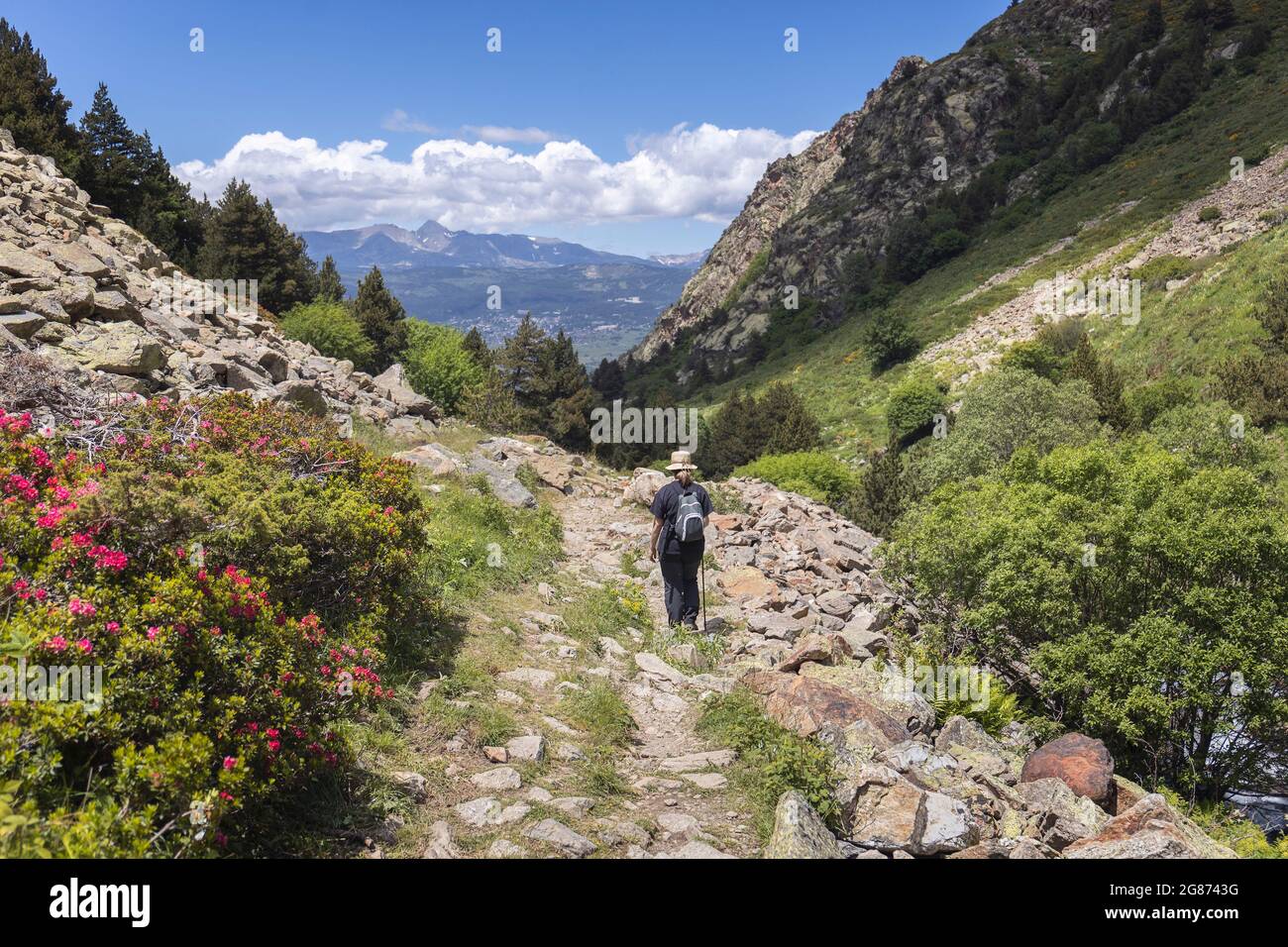 Frau beim Trekking im Eyne Valley mit Carlit Peak im Hintergrund, französische Pyrenäen Stockfoto