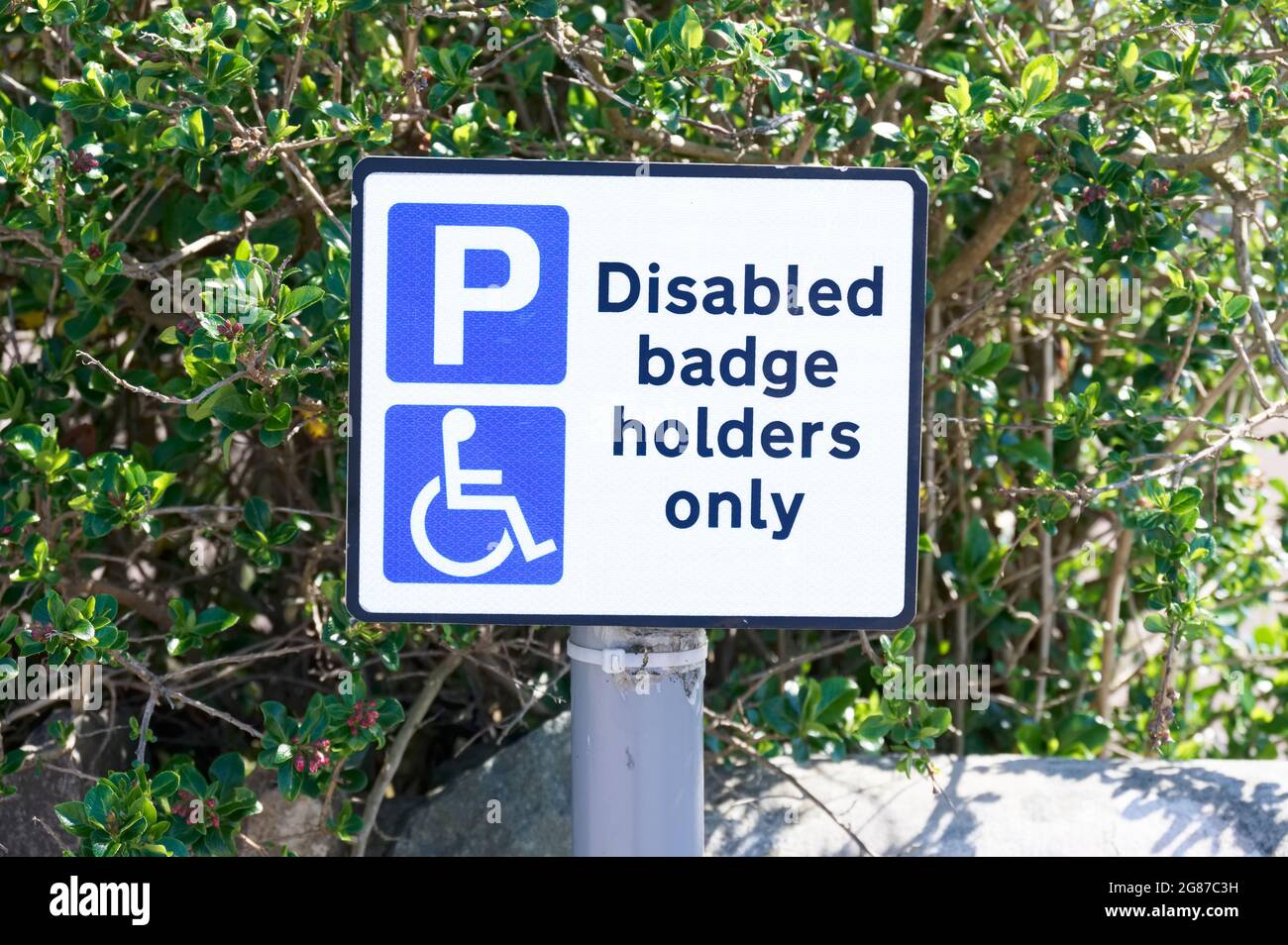 Behindertenblau Badge Halter Parkplatz Schild für Fahrer Stockfoto