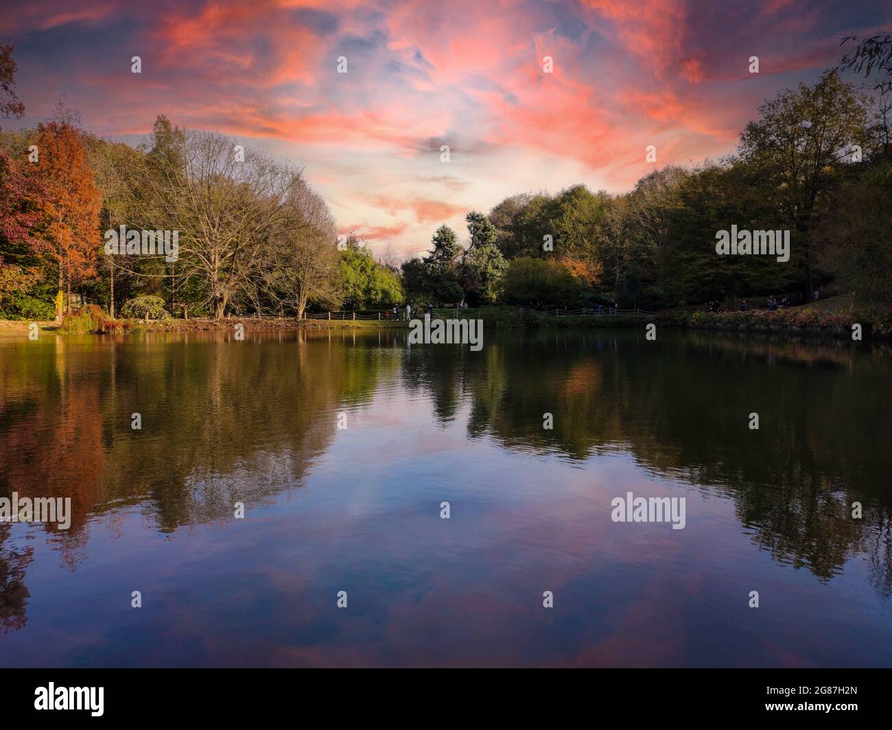 Herbst-Backgorund, Atatürk Arboretum, bunte Baumspiegelung am See. Schöner Naturpark Stockfoto