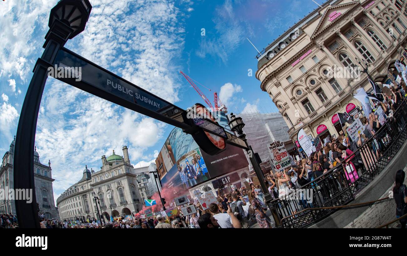 The Official Animal Rights March London 2019 durch den Piccadilly Circus. Aktivisten marschieren am 17. August 2019 durch die britische Hauptstadt. Stockfoto