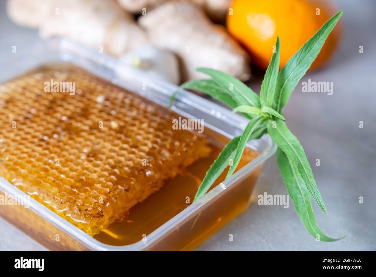 Mischungen von Honig, Ingwer und Knoblauch, die in der Kälte nützlich und erfrischend für den Körper sind Stockfoto