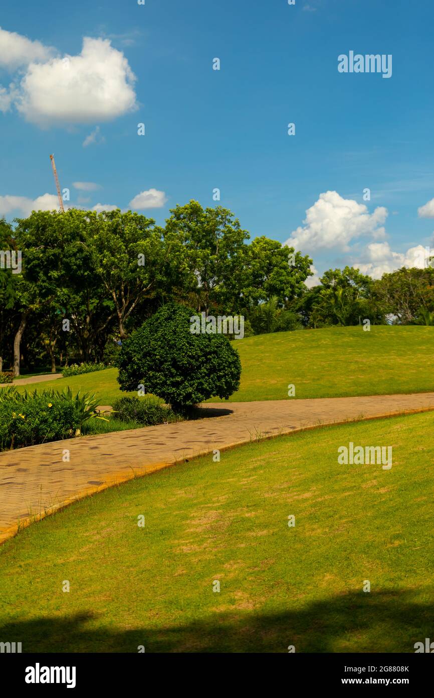 Eine malerische Landschaft eines Parks an einem hellen sonnigen Tag Stockfoto