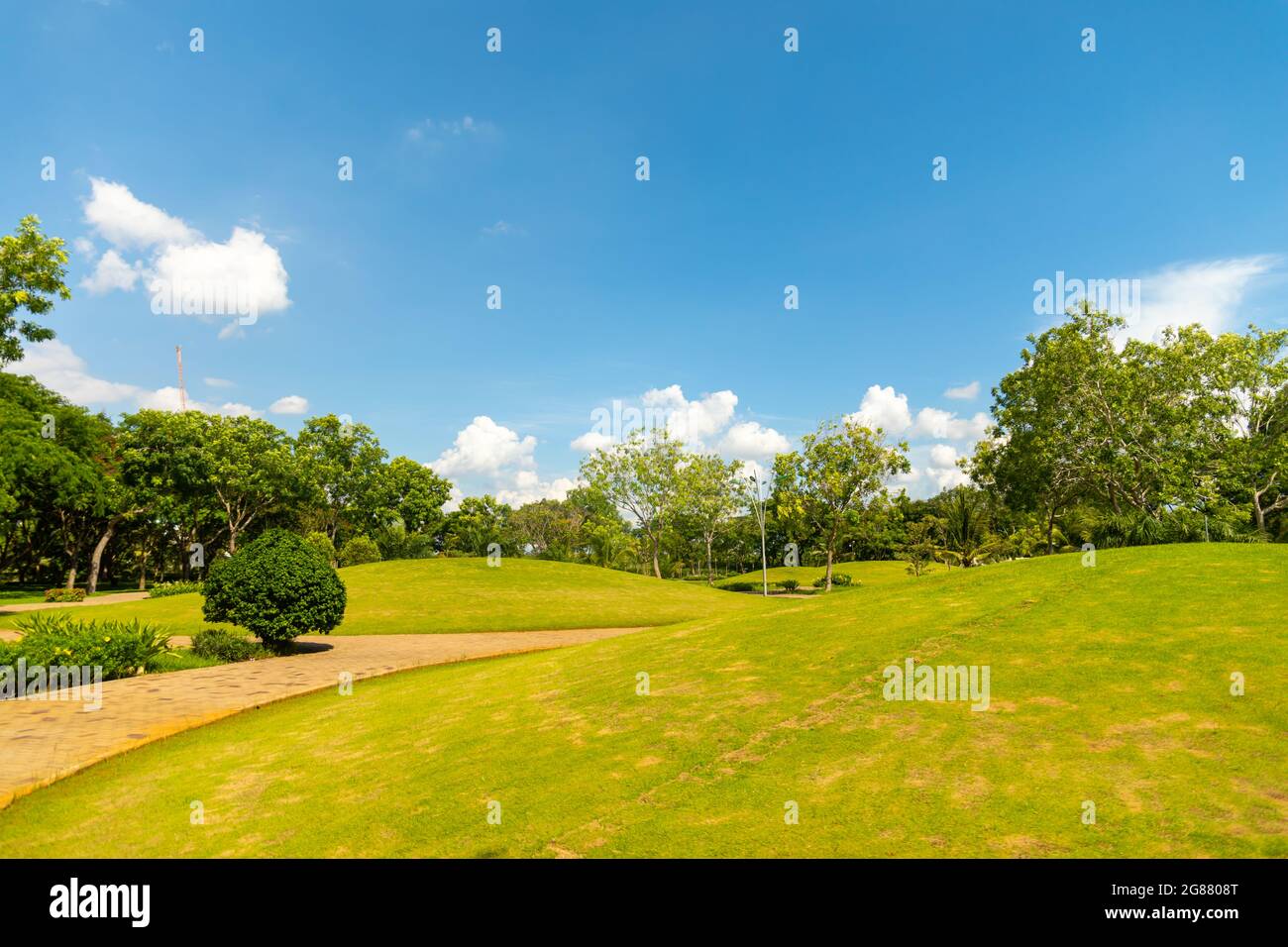 Eine malerische Landschaft eines Parks auf einem hellen Stockfoto