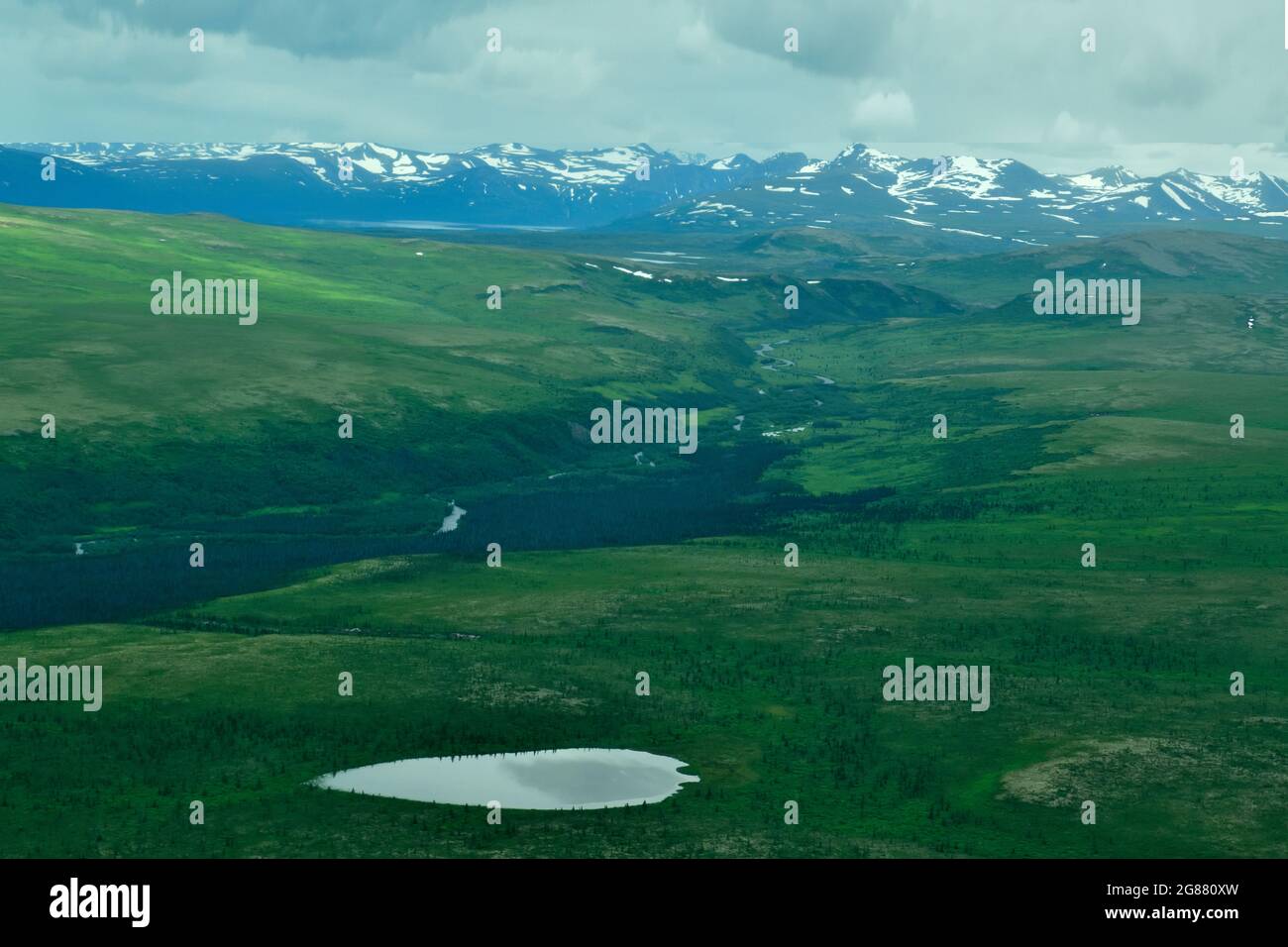 Ein Tidepool inmitten üppiger grüner Landschaften Stockfoto