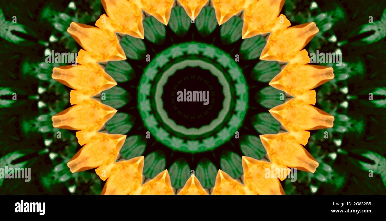 buttercup grüne Blätter Kaleidoskop Stockfoto