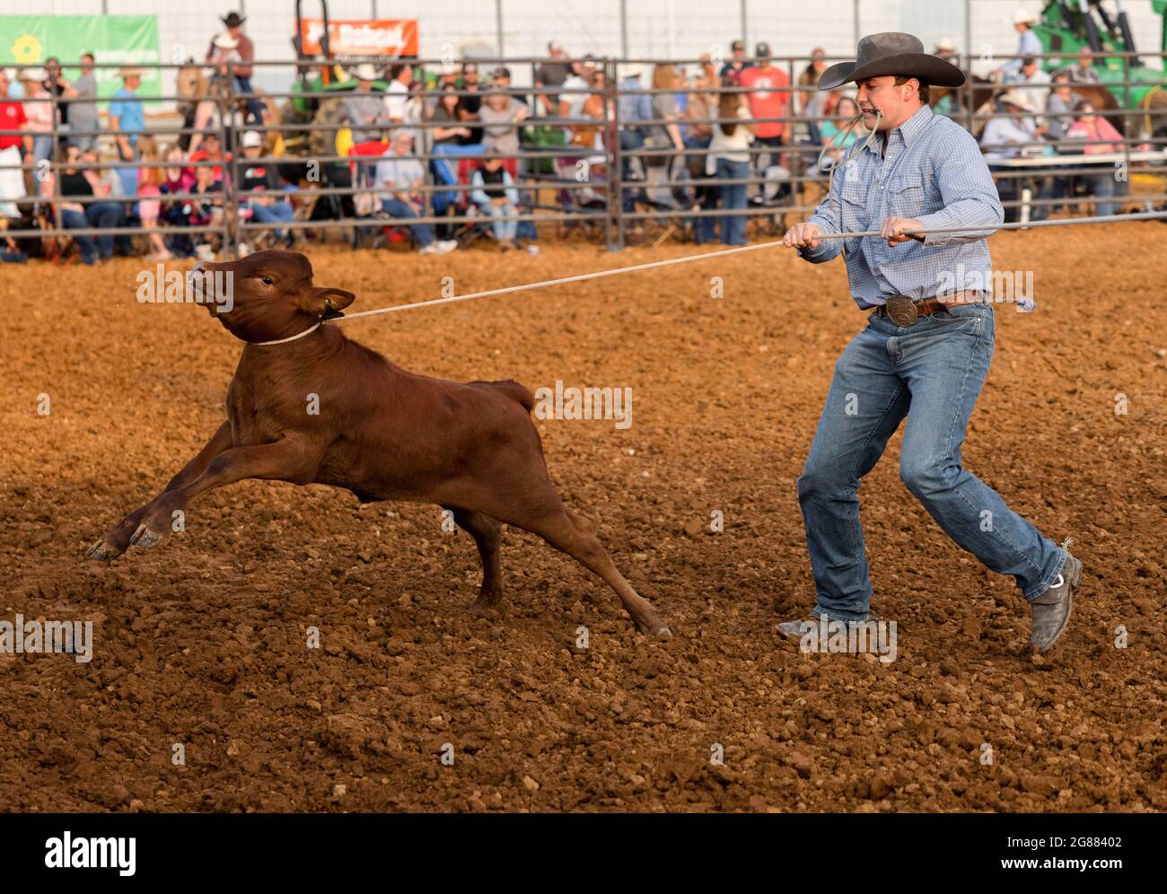 Joeseph Waling aus Williamsport, Indiana, nimmt an der festlichen Roping-Veranstaltung während des Bar J Rodeo 3 auf der Monroe County Fair Teil. Die Monroe County Fair in Bloomington, Indiana, ist eine einwöchige Ausstellung für Kunsthandwerk, landwirtschaftliche Produkte und Viehzucht, ein Gemeindetreffen und ein Festival, das auf dem County Fairgrounds stattfindet. County Messen in den USA sind eine Tradition und Teil der Kultur tief in ländlichen amerikanischen Leben verwurzelt. County Messen begann vor langer Zeit als eine Möglichkeit für Landwirte und landwirtschaftliche Arbeitnehmer zu sammeln und Kontakte zu knüpfen. (Foto von Jeremy Hogan/SOPA Images/Sipa USA) Stockfoto