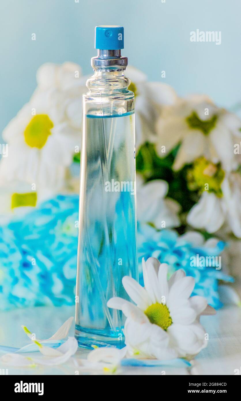 Flasche floralen Parfüms auf einem Hintergrund aus Kamillenblüten und Chrysantheme in blauen Farbtönen Stockfoto