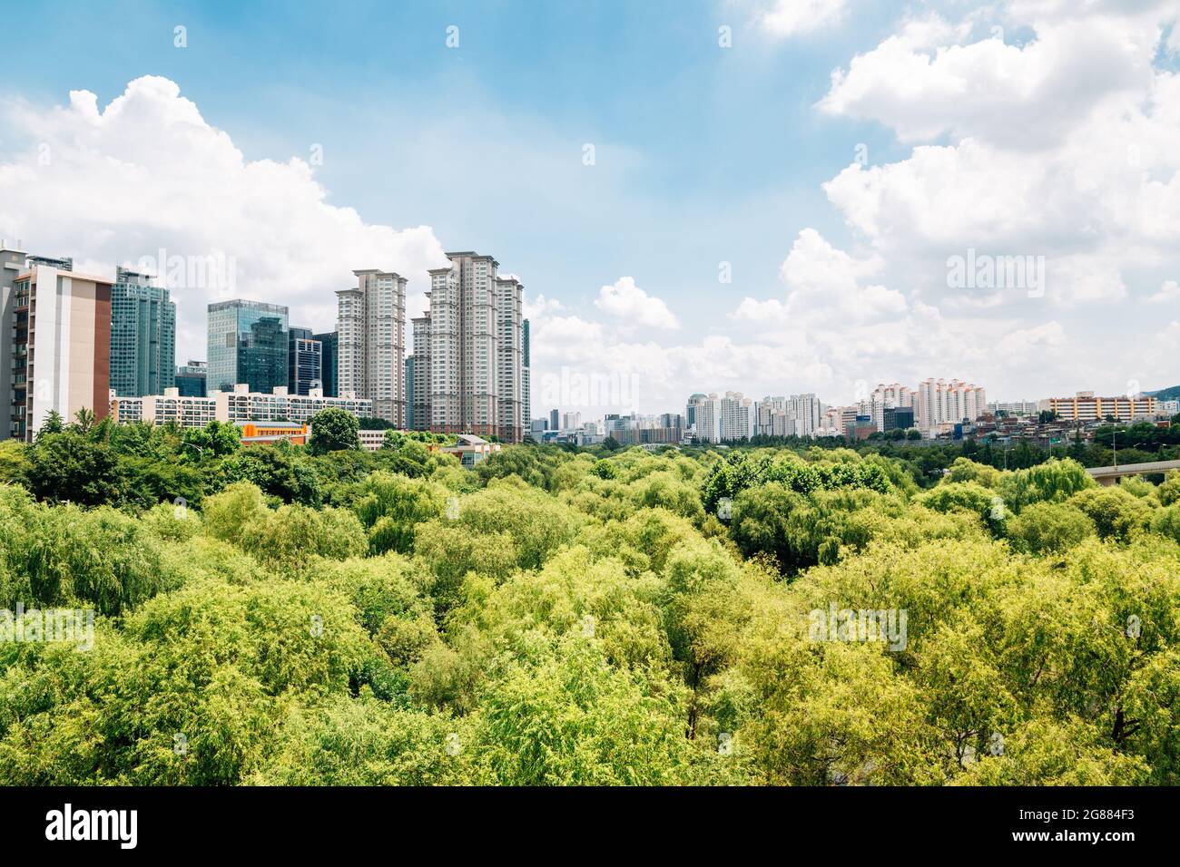Yeouido Saetgang Eco Park und moderne Gebäude in Seoul, Korea Stockfoto