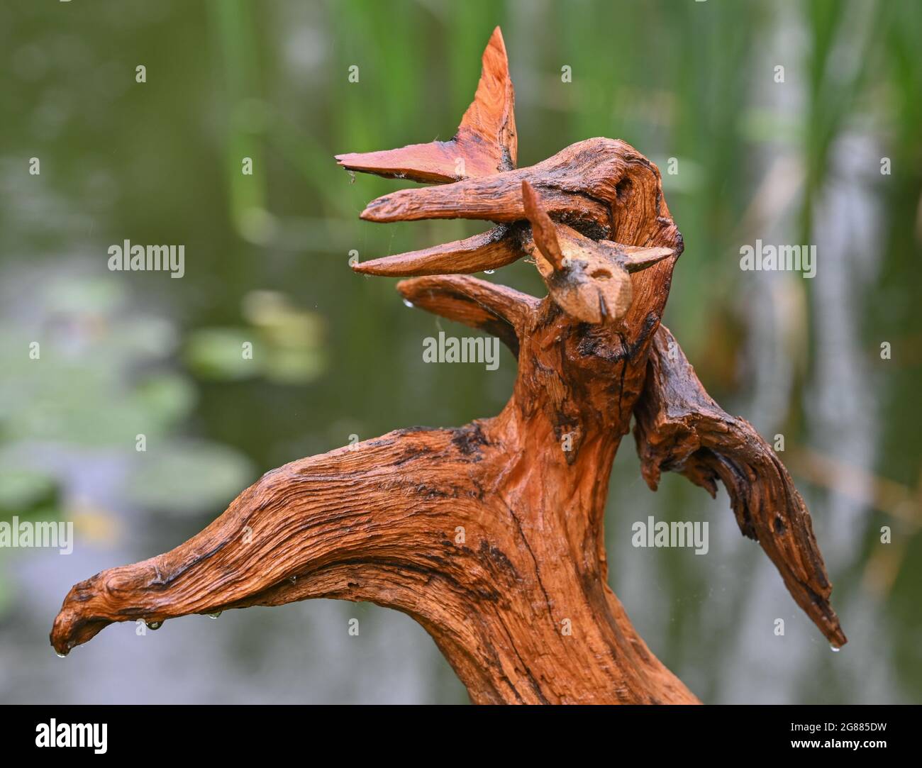 Schlepzig, Deutschland. 30. Juni 2021. Eisvögel mit Fischen, die aus Zweigen des Künstlers Achim Nocka aus dem Spreewald geformt wurden. Es gibt viele Künstler, die mit Holz arbeiten. Was Achim Nocka aus Schlepzig jedoch einfach durch das Zusammenführen einer Vielzahl von Wurzeln und Ästen schafft, ist ein echter Hingucker. Seine ungewöhnlichen Skulpturen scheinen fast lebendig. (To dpa ''as if by magic': Enchanted wood from the Spreewald') Credit: Patrick Pleul/dpa-Zentralbild/dpa/Alamy Live News Stockfoto