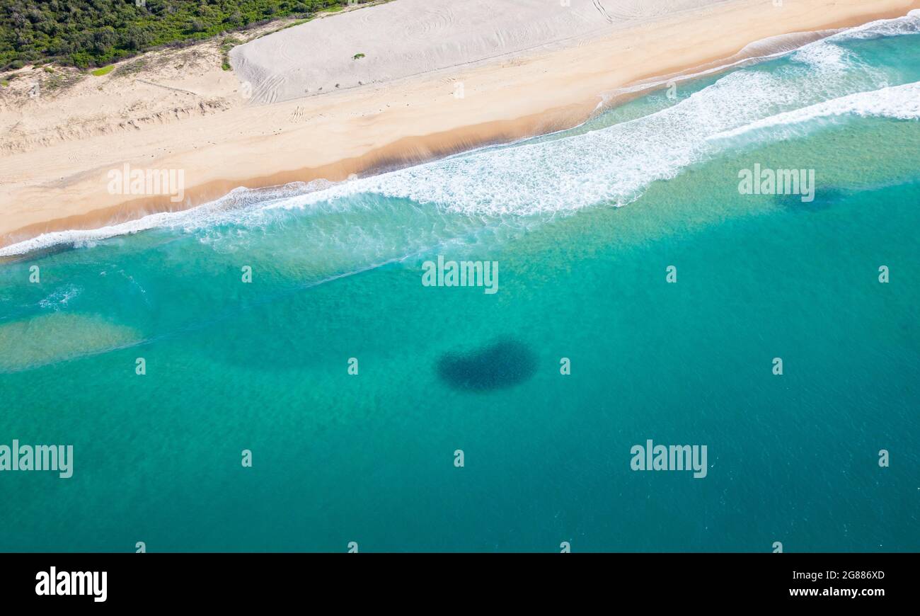 Eine Luftaufnahme von zwei großen Schulen mit australischem Lachs am Blacksmith Beach südlich von Newcastle NSW Australia. Stockfoto