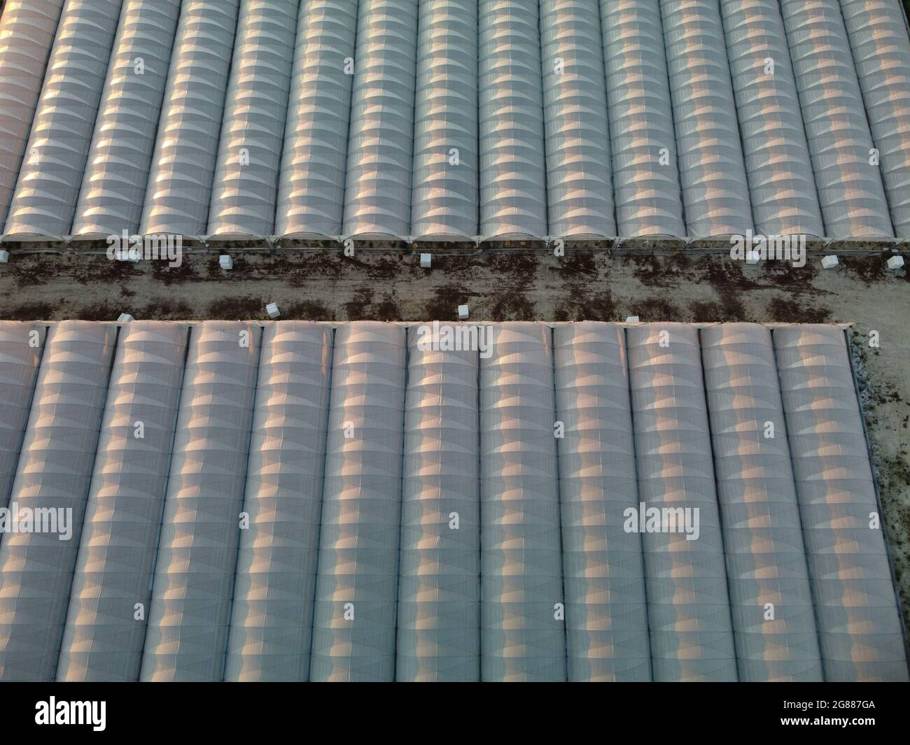 Luftdrohnenaufnahme von riesigen Flächen Gewächshaus für den Anbau von Gemüse. Gewächshausanbau, Agrarindustrie. Fliegen über große industrielle Gewächshäuser Stockfoto