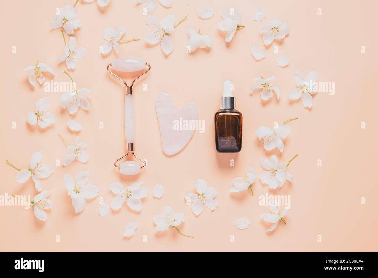 Gesichtsmassage-Set Roller Scraper guasha kosmetisches Öl Serum Gesichtspflege auf pastellrosa Hintergrund Stockfoto