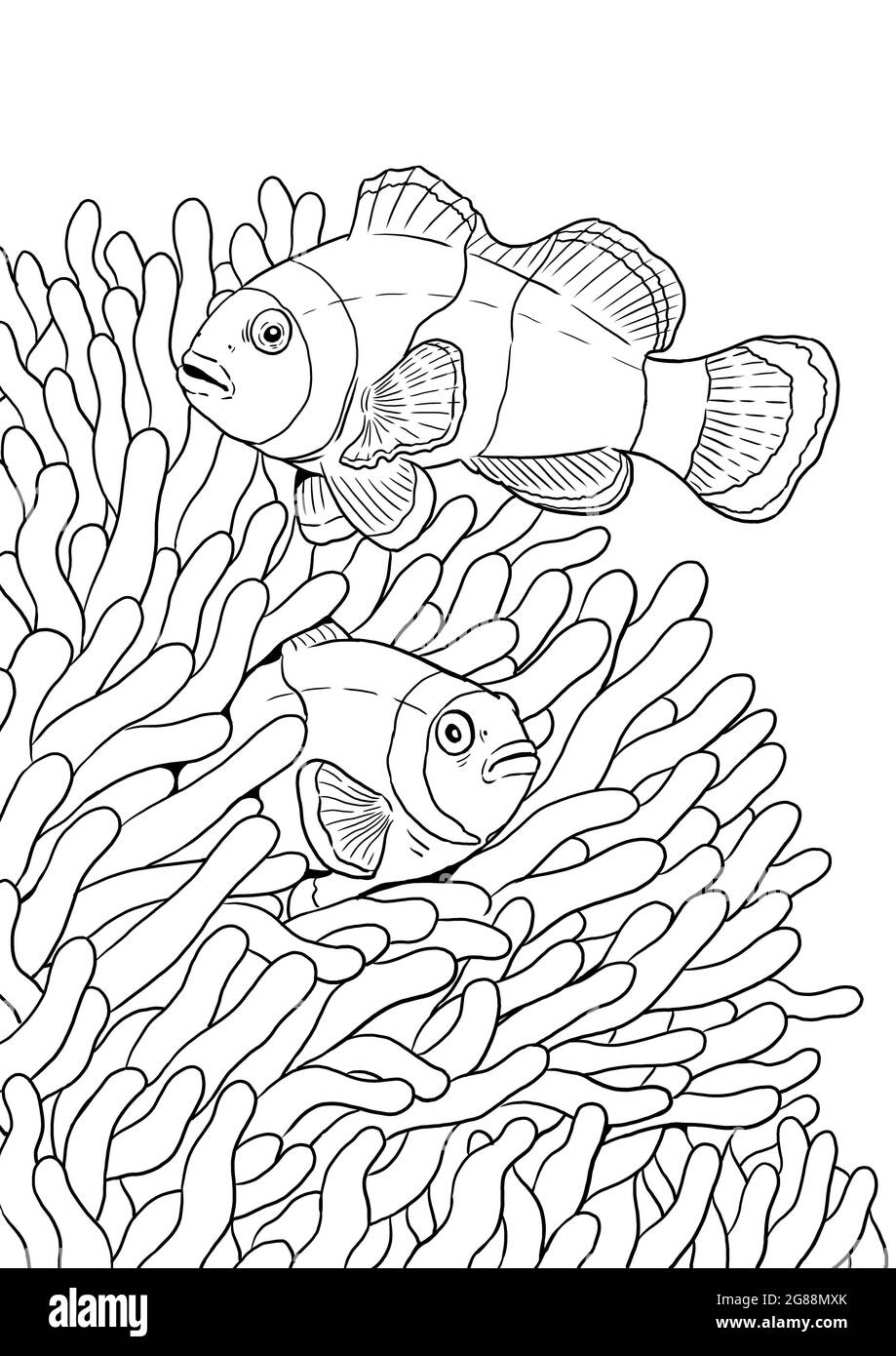 Tropischer Clownfisch mit Korallenriff-Anemone. Bunte Meeresfische digitale Vorlage. Bild für Kinder und Erwachsene. Stockfoto