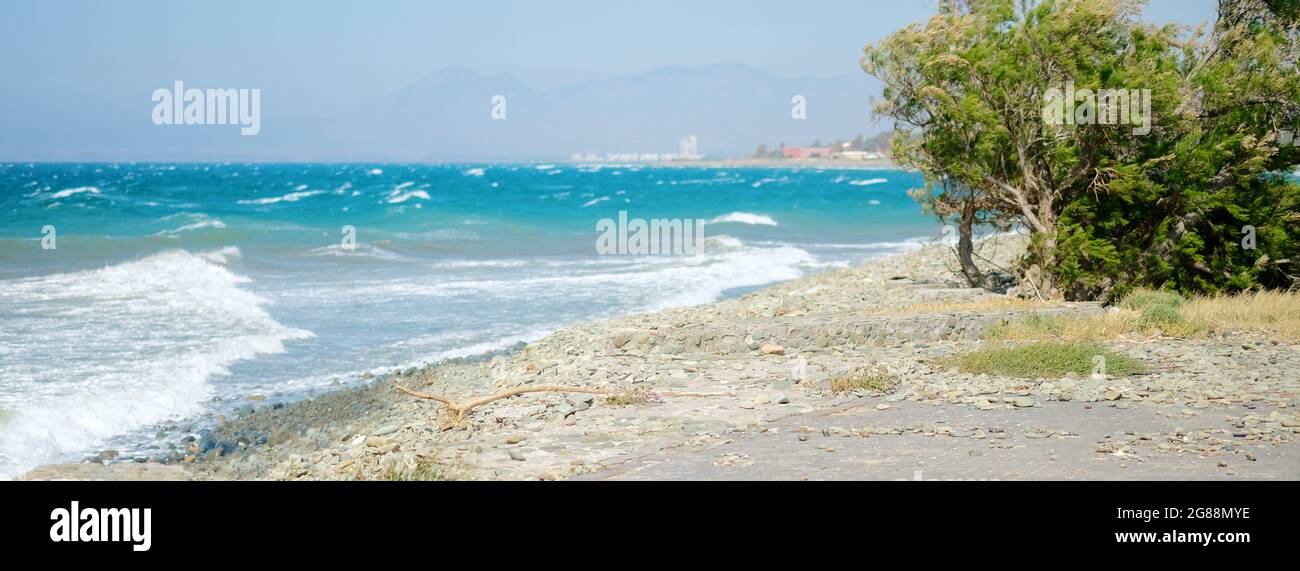 Weitwinkelansicht von Lonely Beach auf Zypern Insel mit wachsenden Palmen und Meerblick, Banner Stockfoto