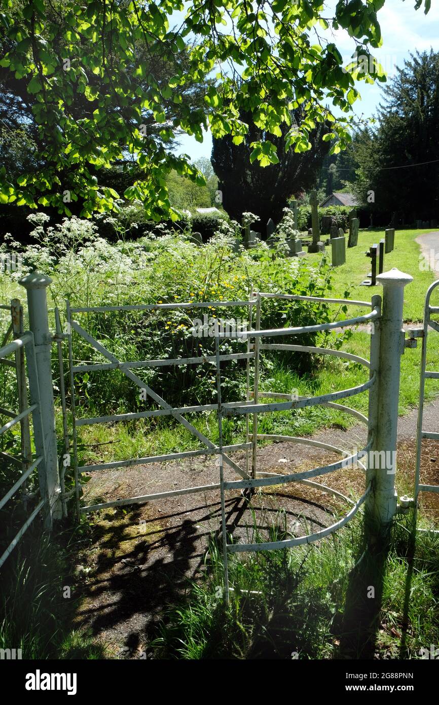 Küssendes Tor, das in den Kirchhof in Huntington, Herefordshire, England, Großbritannien, führt. Stockfoto