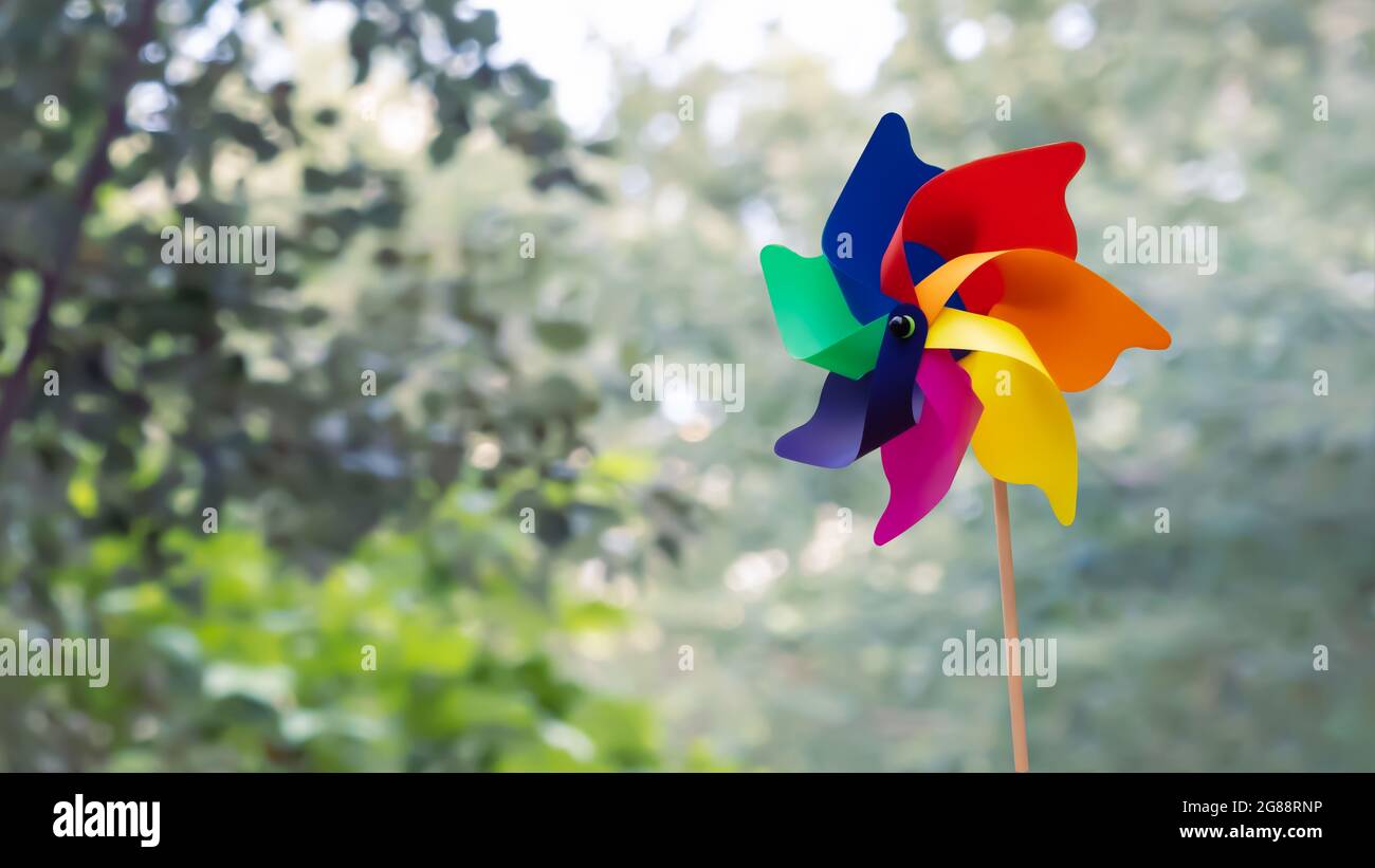Bunte Wetterfahne auf grünem Hintergrund Stockfoto