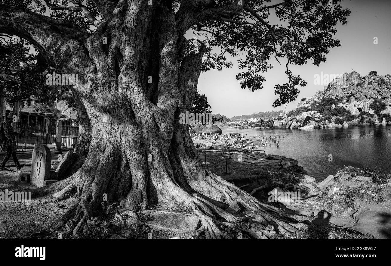 Hampi, Karnataka, Indien - 10. Januar 2020 : Menschen baden und bereiten sich am Ufer des Flusses Tungabhadra in der Stadt Hampi vor. Stockfoto