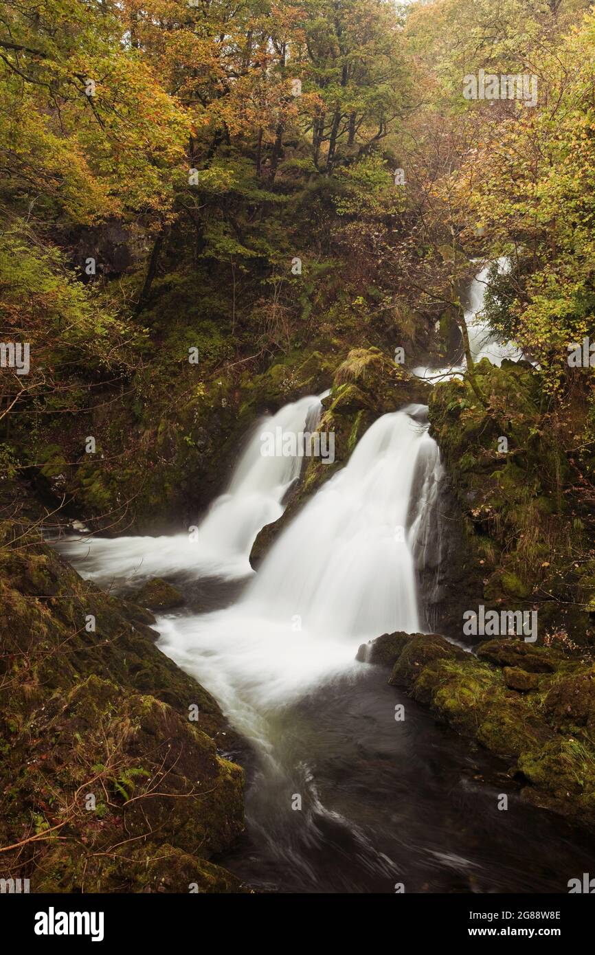 Colwith Force Wasserfall in Langdale, Cumbria Stockfoto