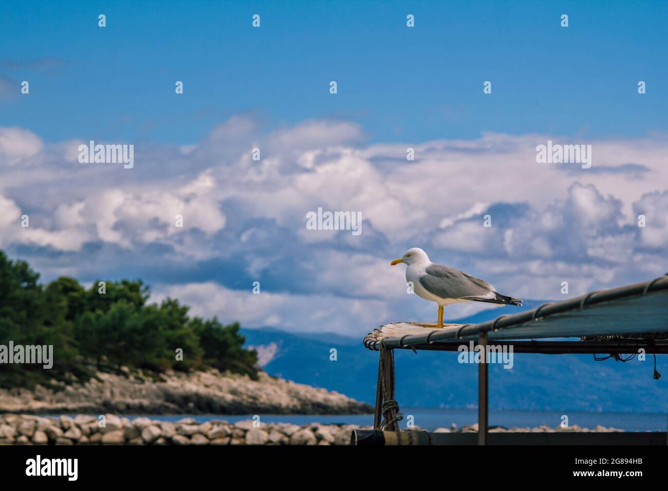 Nahaufnahme der Möwe, die auf einem Fischerboot-Zelt mit Meer, Bergen und Wolken am blauen Himmel auf dem Hintergrund ruht. Stockfoto