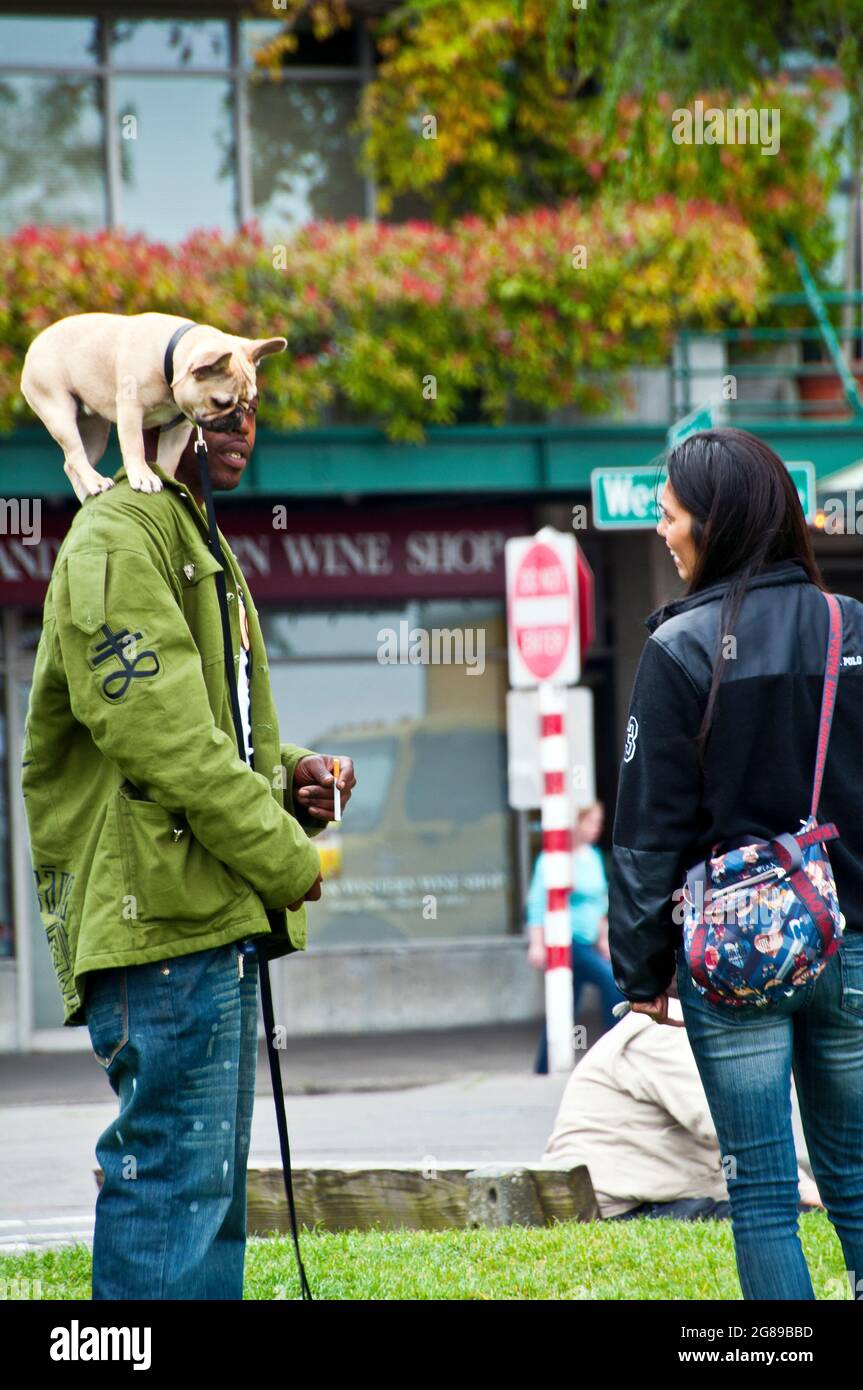 Hund auf der Schulter des Mannes in der Nähe des Pike Street Market, Seattle, Washington Stockfoto
