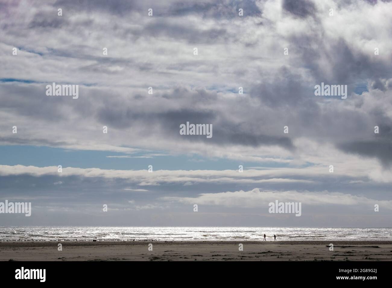 Spaziergang am Strand, Pacific Beach State Park, Olympic Peninsula, Washington State, USA, Pacific Northwest. Stockfoto