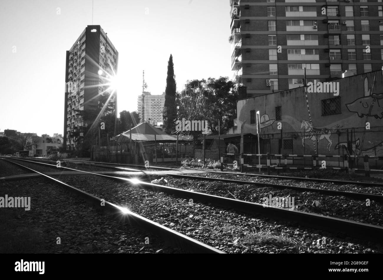 Fußgängerübergang gegen Hochhäuser in Belgrano, Buenos Aires, monochrom mit Sonnenreflexen Stockfoto