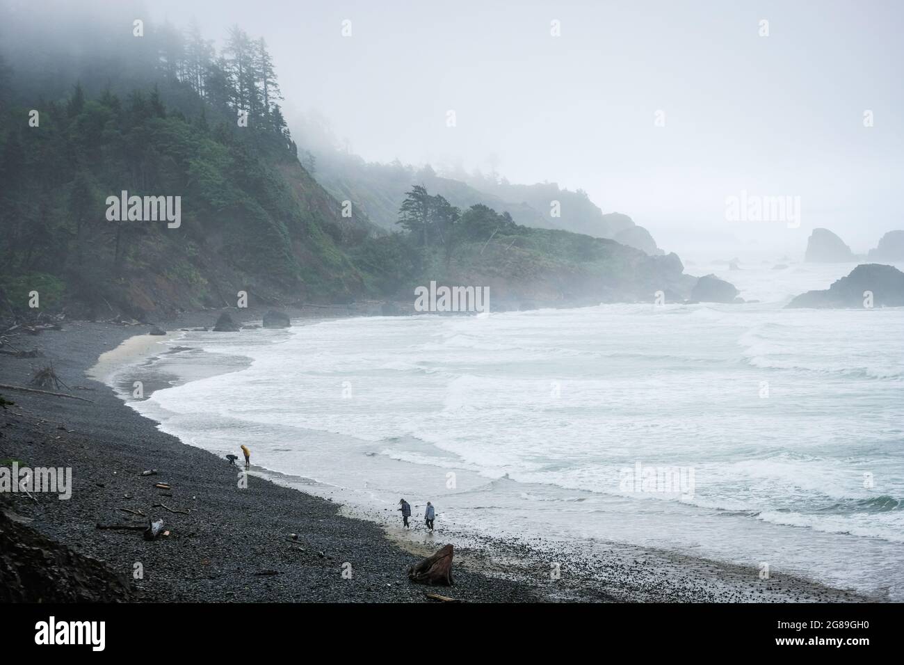 Am Strand am Pazifik, Cape Disappointment State Park, Washington State, USA. Stockfoto