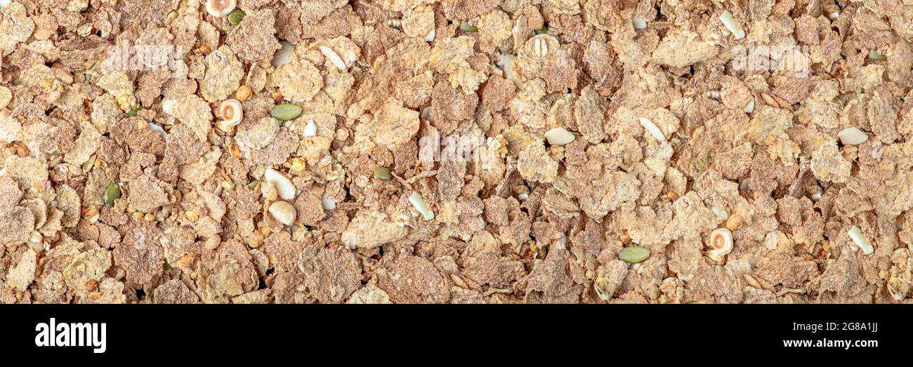 Müsli. Nahaufnahme von Müsli, Frühstückszerealien auf dem Tisch verstreut. Banner für gesunde Ernährung Stockfoto