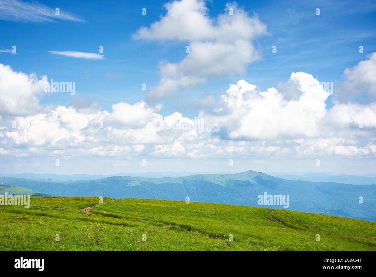 Idyllische Sommerlandschaft. Wiese und hoher Gipfel in der Ferne. Sonniges Wetter mit flauschigen Wolken am blauen Himmel. Grüne und blaue Farbe in der Natur Stockfoto