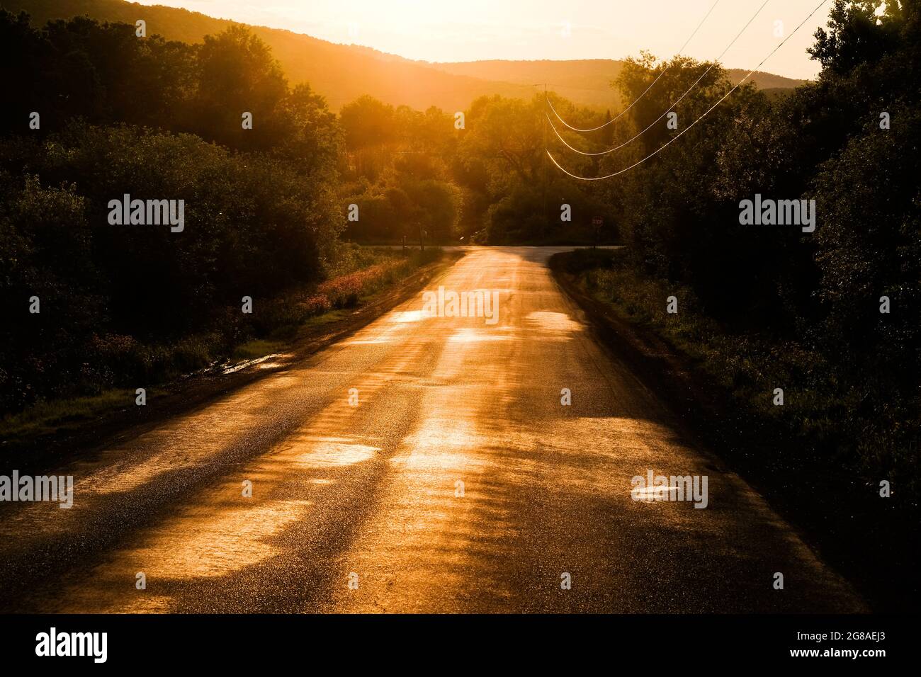 Der Sonnenuntergang glitzerte auf einer ländlichen Asphaltstraße in der Nähe von Cooperstown, New York, USA. Stockfoto